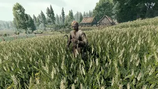 魔兽世界日常任务：告别无脑循环，教你花式摸鱼，奖励拿到手软！