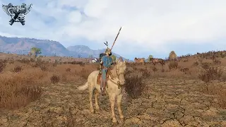 《魔兽世界》开发者日志：巨龙时代后的革新，艾泽拉斯的未来走向何方？