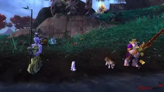 纠结选啥？《魔兽世界》新手入坑职业选择终极攻略 海报